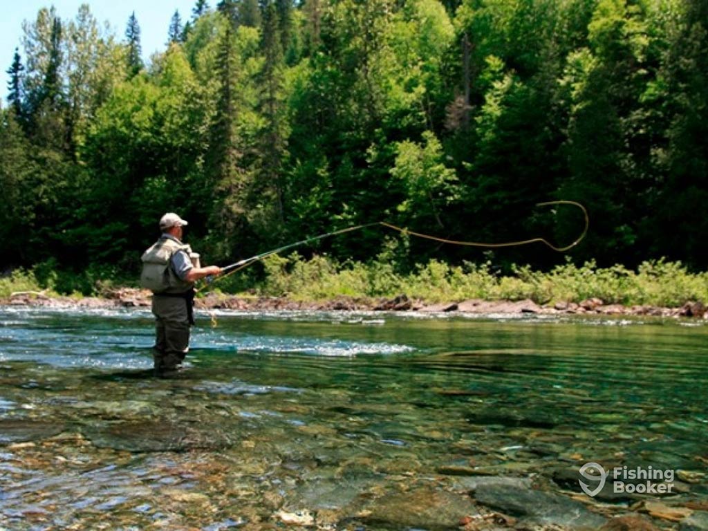 A view across calm, shallow waters towards a man wading and fly fishing in a river in Quebec on a clear day with lush trees visible behind him