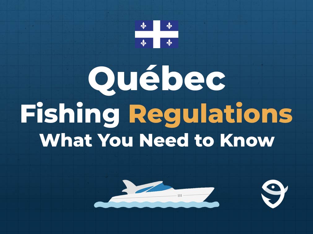 Québec Fishing The Complete Guide for 2024