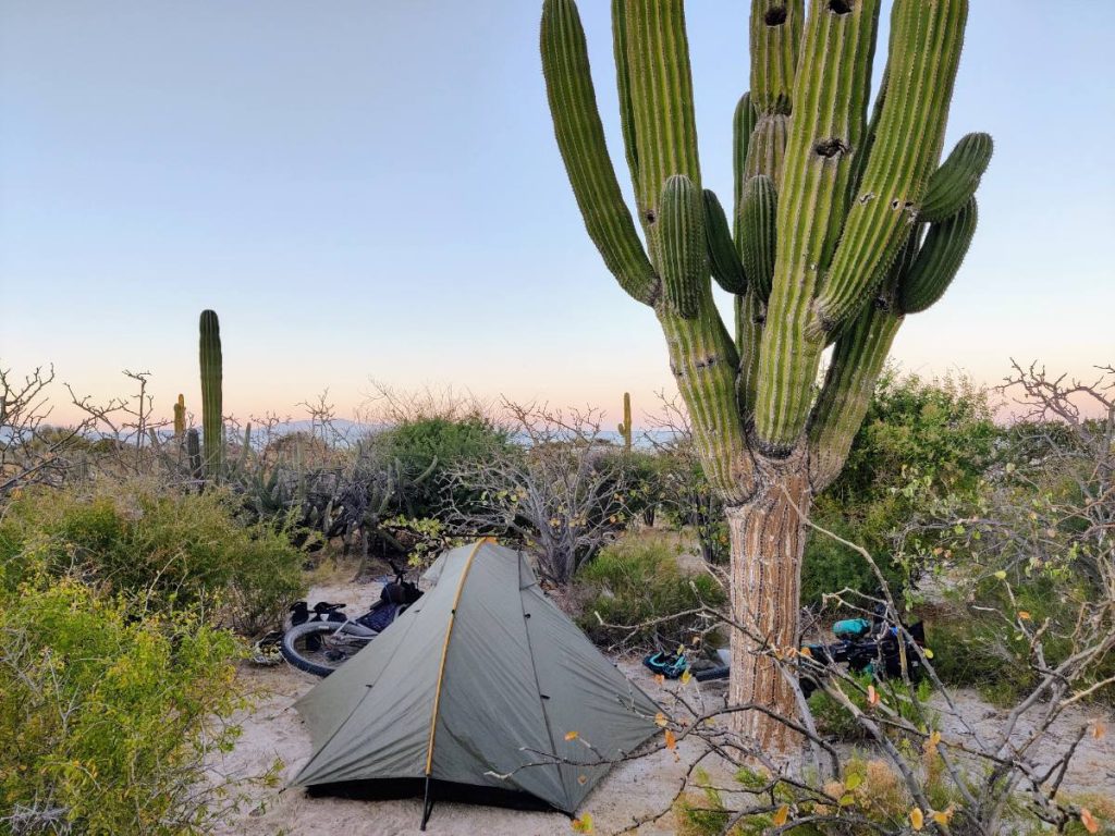 Baja’s Cape Loop: Desert Bikepacking Meets Mid-Winter Beach Vacation