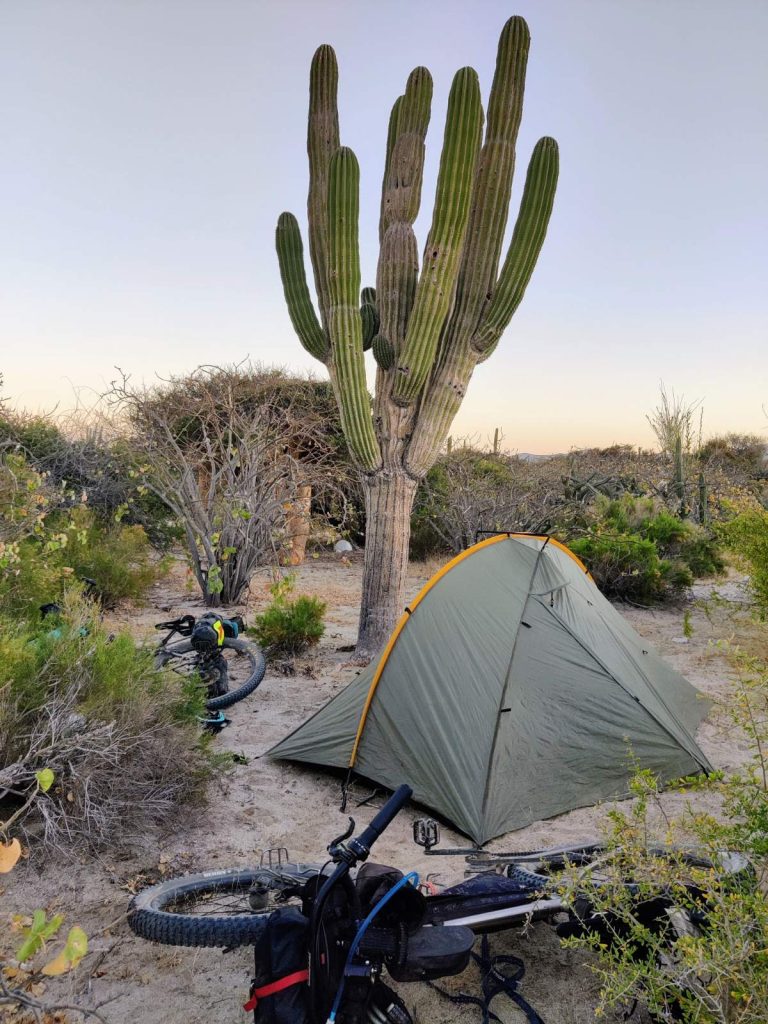 Baja’s Cape Loop: Desert Bikepacking Meets Mid-Winter Beach Vacation