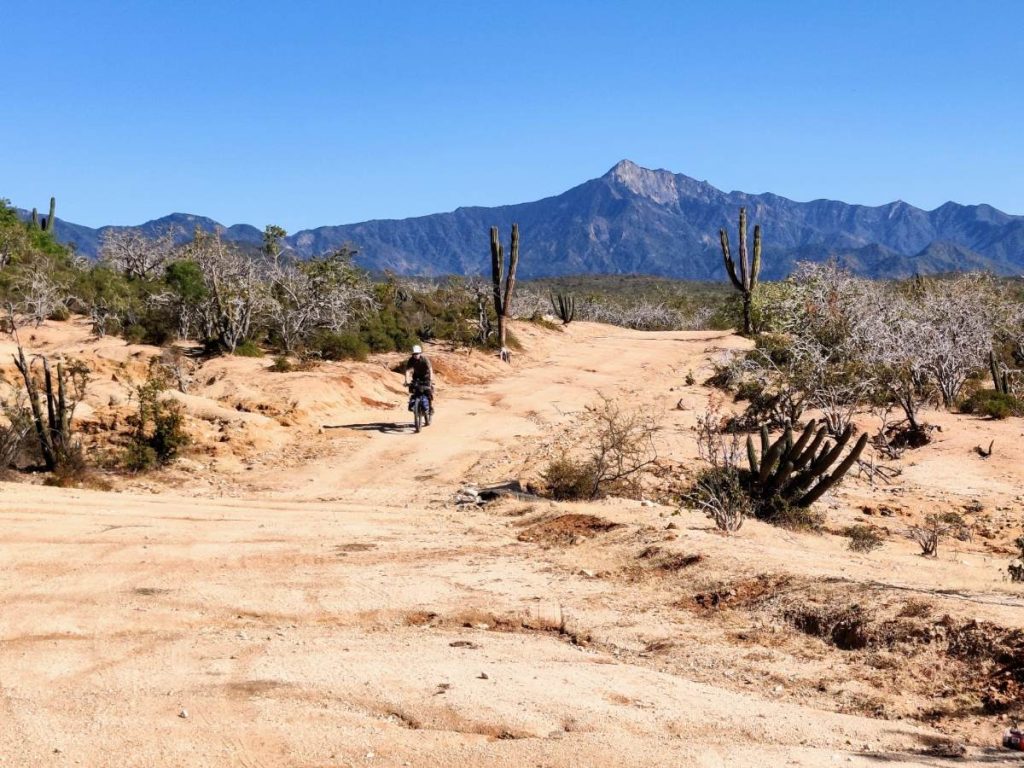 Baja’s Cape Loop: Desert Bikepacking Meets Mid-Winter Beach Vacation