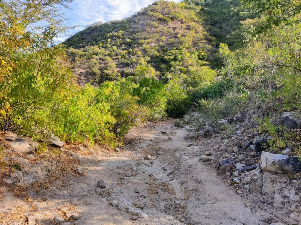 Baja’s Cape Loop: Desert Bikepacking Meets Mid-Winter Beach Vacation