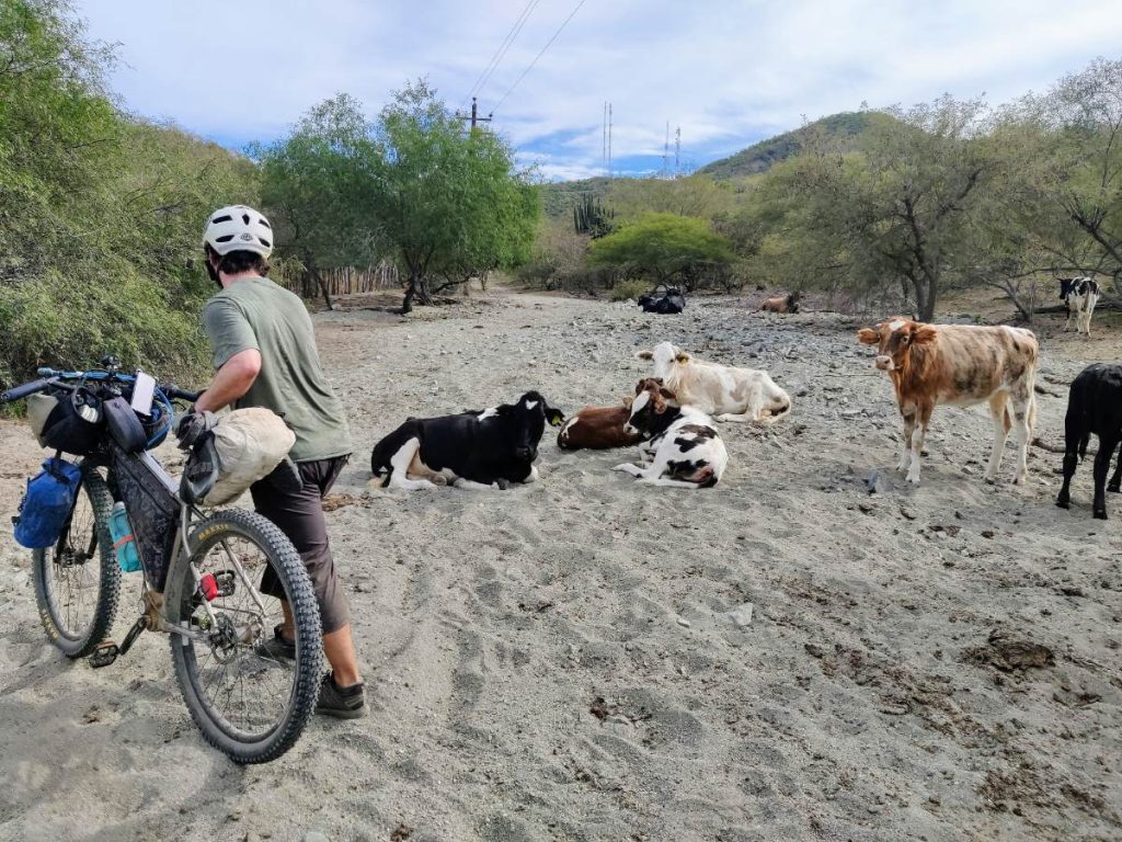 Baja’s Cape Loop: Desert Bikepacking Meets Mid-Winter Beach Vacation