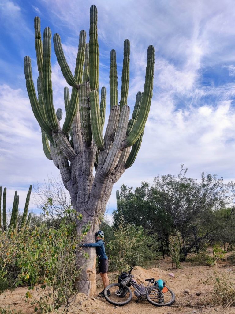 Baja’s Cape Loop: Desert Bikepacking Meets Mid-Winter Beach Vacation