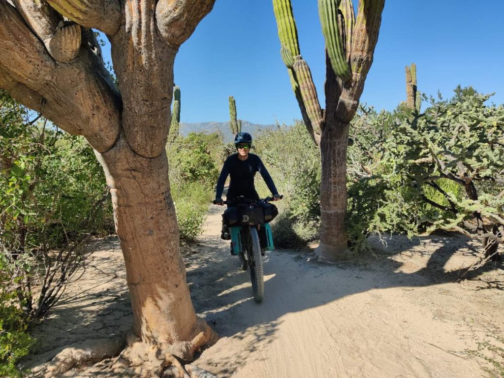 Baja’s Cape Loop: Desert Bikepacking Meets Mid-Winter Beach Vacation