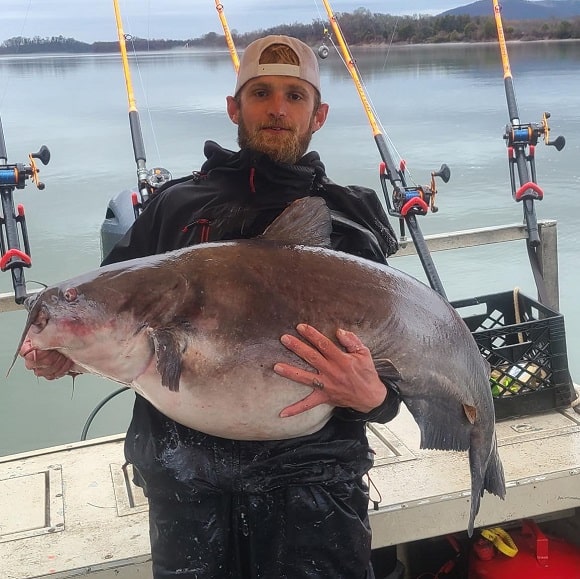 Georgia Angler Almost Breaks Lake Sinclair Blue Catfish Record