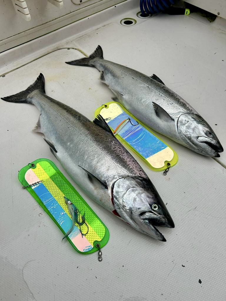 Winter_chinook_fishing_gear_gibbs_delta