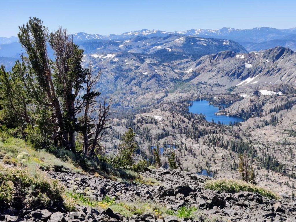 6 Reasons to Backpack the Tahoe Rim Trail (and 4 Drawbacks to Be Aware Of)