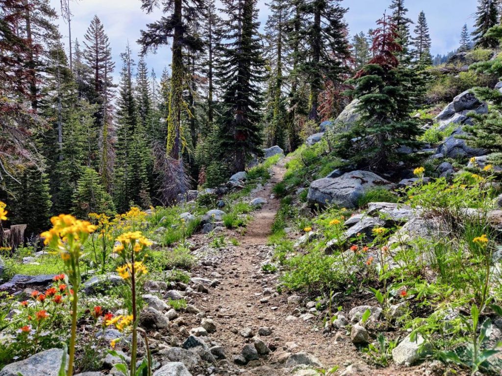 6 Reasons to Backpack the Tahoe Rim Trail (and 4 Drawbacks to Be Aware Of)