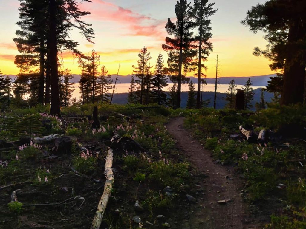 6 Reasons to Backpack the Tahoe Rim Trail (and 4 Drawbacks to Be Aware Of)