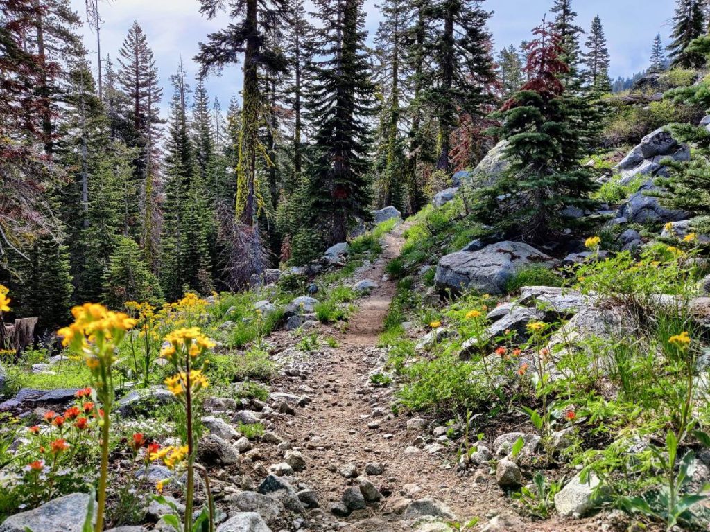 6 Reasons to Backpack the Tahoe Rim Trail (and 4 Challenges to Be Aware Of)