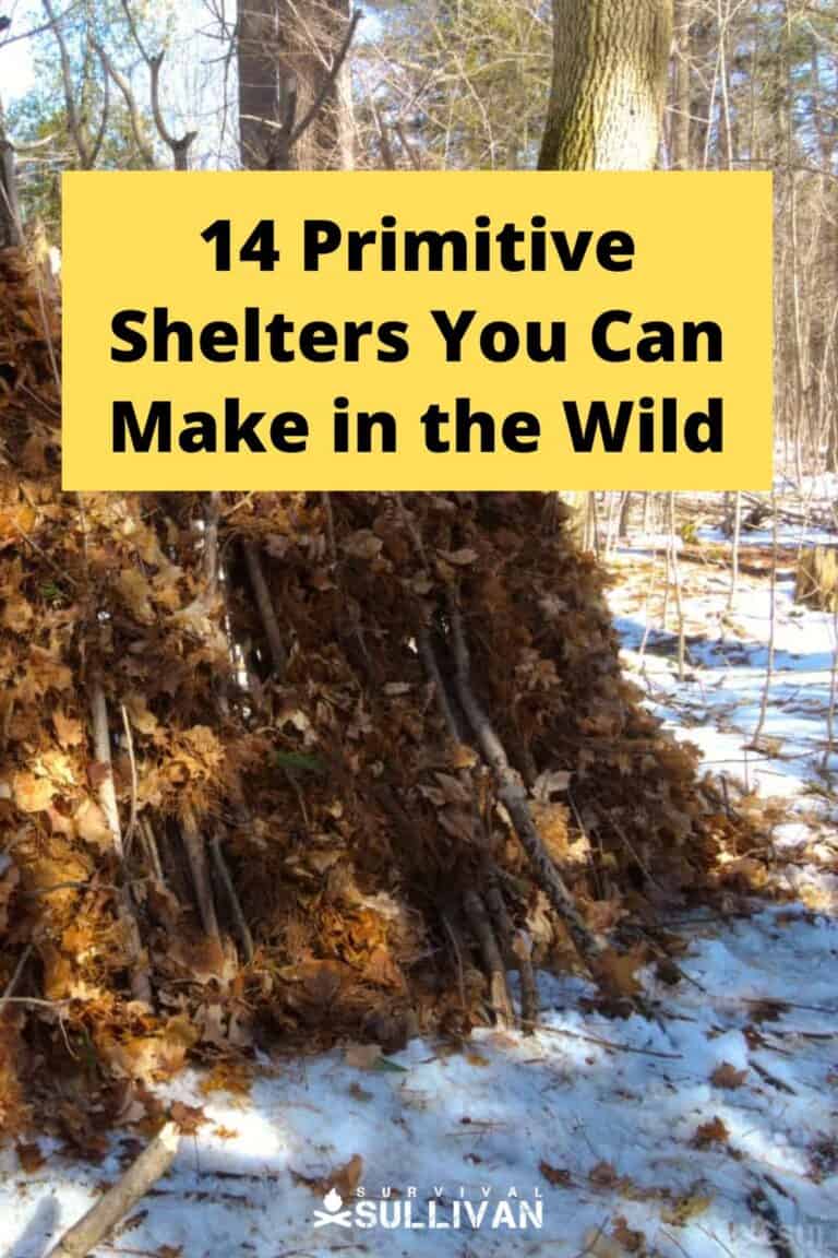 primitive shelters Pinterest image