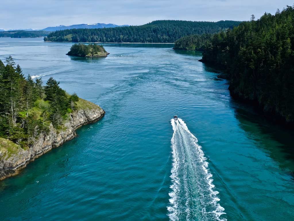 A charter boat speeding through the blue waters of the Puget Sound, with forest scenery along the coast