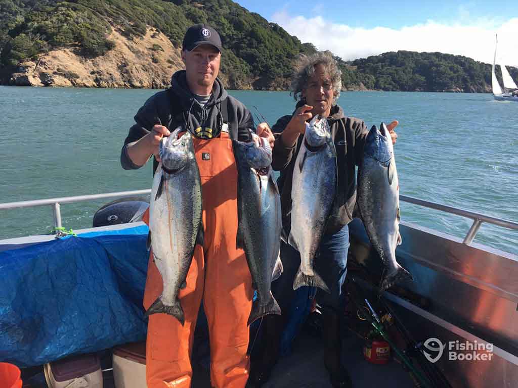 Two middle-aged men standing on a fishing charter out of Richmond, CA, holding two King Salmons each on a sunny day, with the shoreline visible across the water behind them