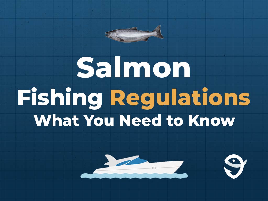 An infographic featuring a vector of a Chinook Salmon, a vector of a boat, and the FishingBooker logo, along with text stating "Salmon Fishing Regulations: What You Need to Know" against a blue background