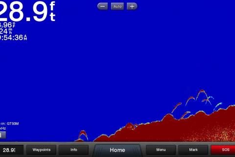 How to Read a Fishfinder – Ice Fishing Edition