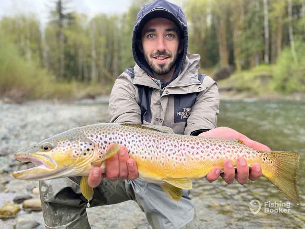 A photo featuring a wade angler while posing for the camera with a decent Brown Trout specimen in both hands above the river on a cold fall day