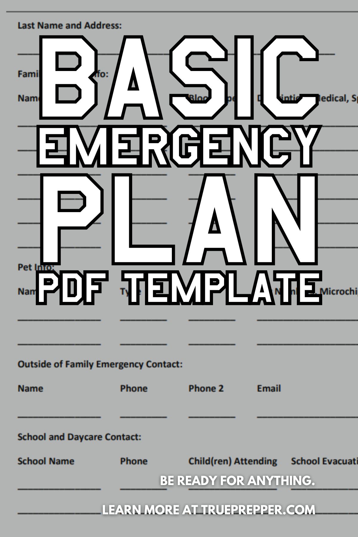 Basic Emergency Plan PDF Template