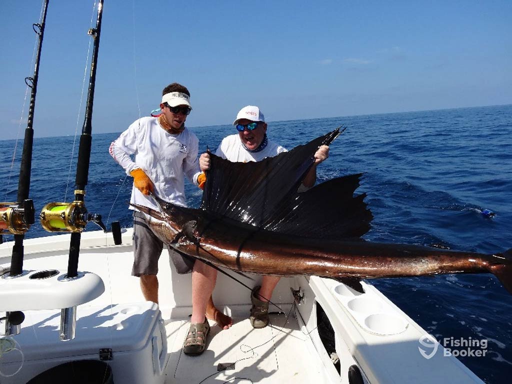 Two men struggle to hold a large Sailfish aboard a fishing charter in Guatemala on a clear day, with trolling rods visible to the left of the image