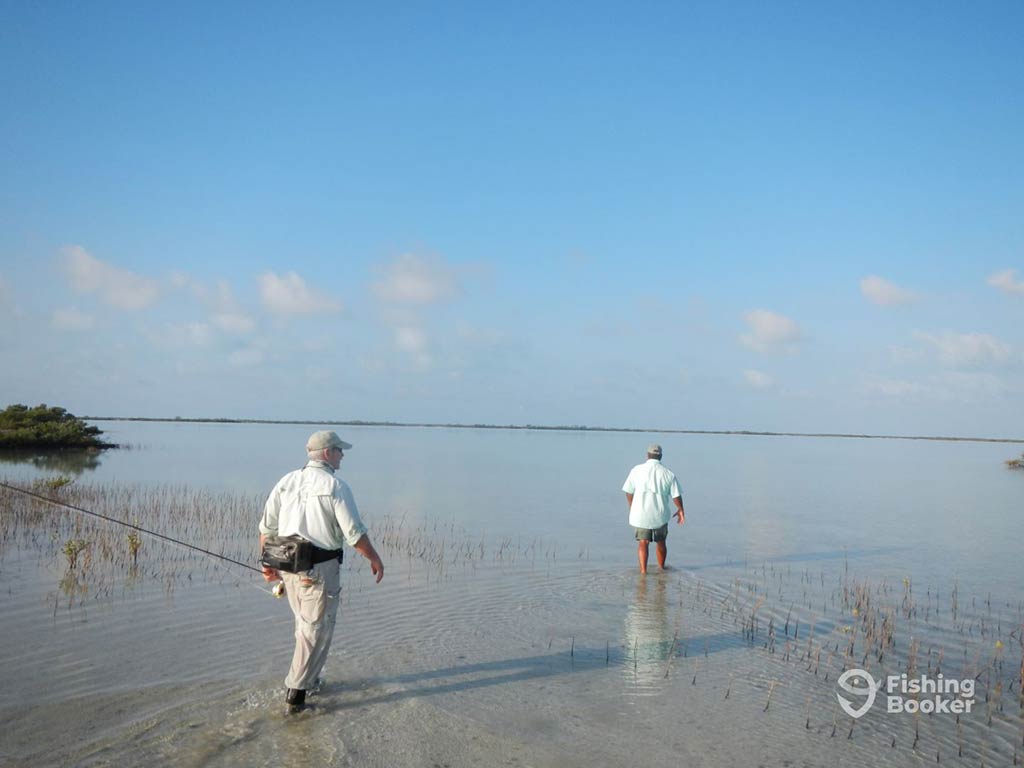 A view from behind of two anglers wading into the flats of Central America on a clear day