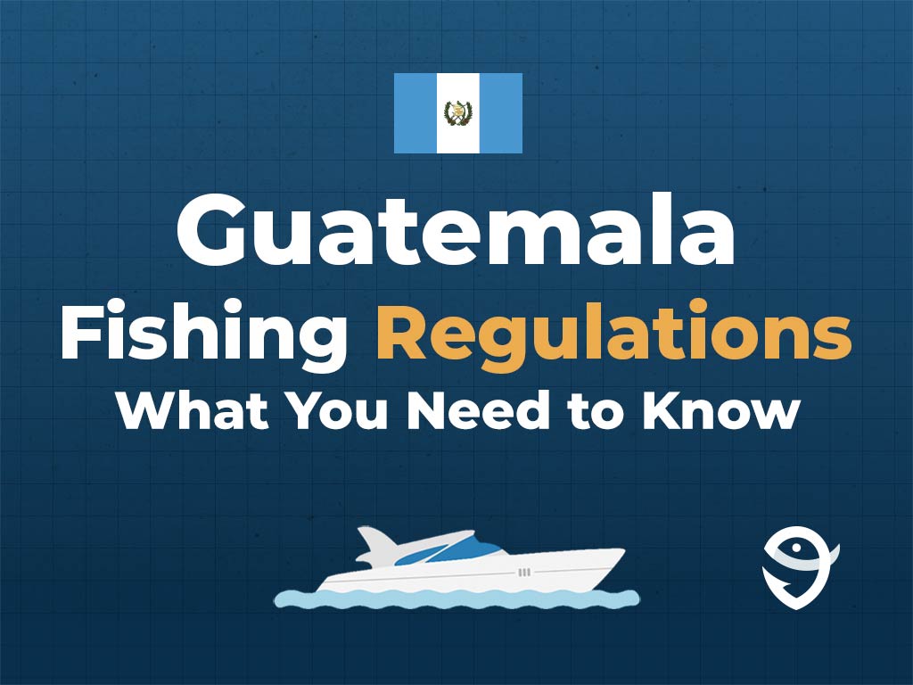 An infographic featuring the flag of Guatemala, a vector of a boat, and the FishingBooker logo, along with text stating "Guatemala Fishing Regulations: What You Need to Know" against a blue background