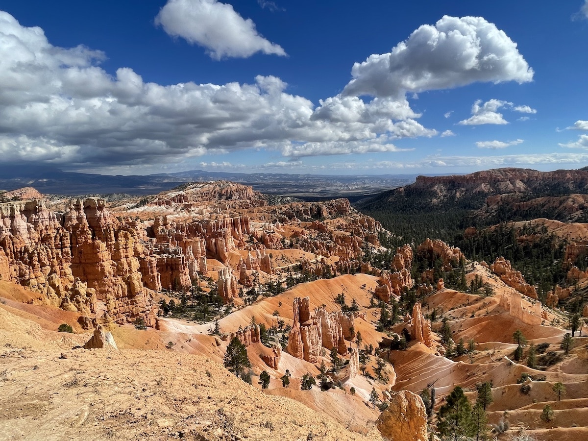 View of hoodoos in the Bryce Amphitheater from the Rim Trail with a blue sky and clouds.