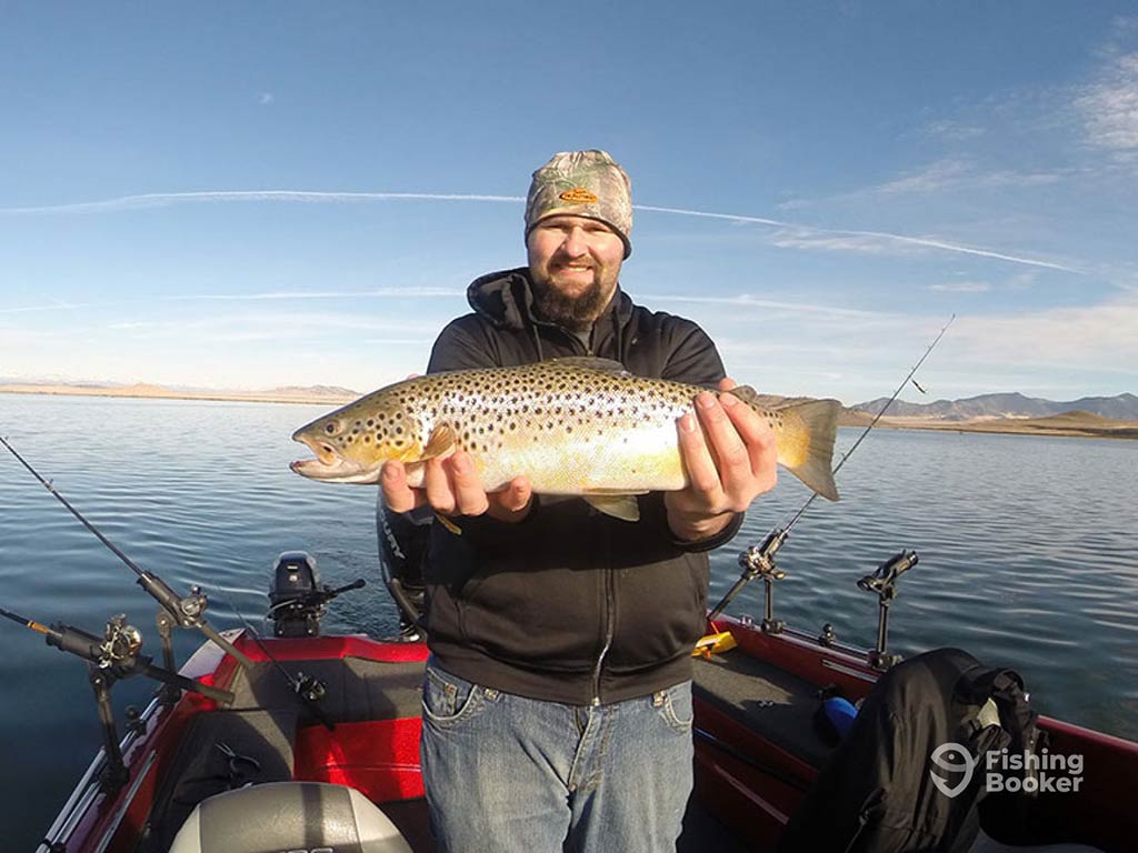 A man standing on a boat on Eleven Mile Reservoir in Colorado Springs on a clear day while holding a Brown Trout