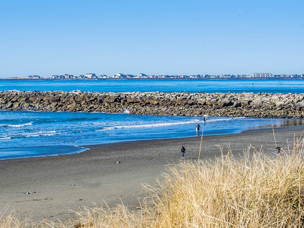 A view towards the jetty in Westport, WA, on a sunny day, with the city visible in the distance and a beach visible across the reeds
