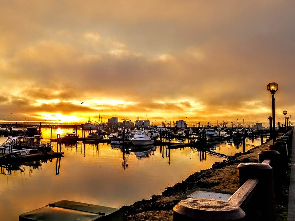 A view towards Westport Marina at sunset, with calm waters visible in the foreground and the sun rising among the clouds in the distance beyond the boats