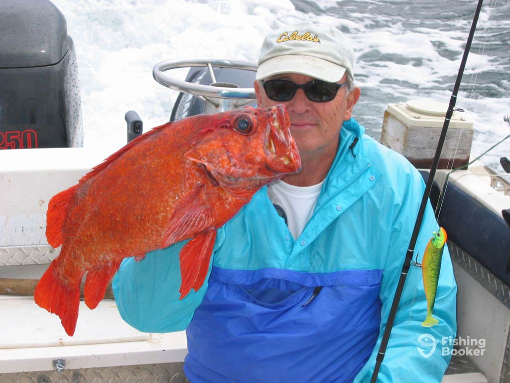 An elderly angler in a baseball cap, sunglasses, and a bright blue raincoat holds up a bright orange Rockfish on a fishing boat in Ucluelet, with the wake of the boat visible behind him