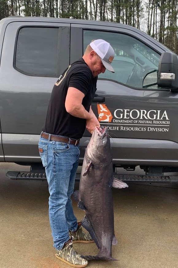 Angler Crushes Lake Sinclair Blue Cat Record with Massive 70+ Pounder