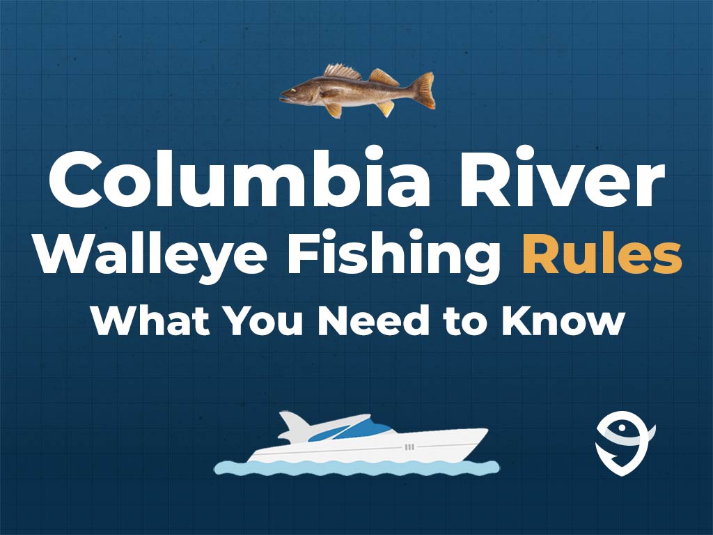 An infographic featuring a vector of a Walleye fish, a vector of a boat, and the FishingBooker logo, along with text stating "Columbia River Walleye Fishing Rules: What You Need to Know" against a blue background