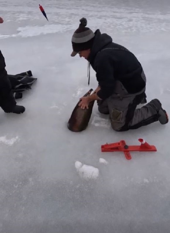 The Tale of a 20lb St. Valentine’s Steelhead Caught Through the Ice