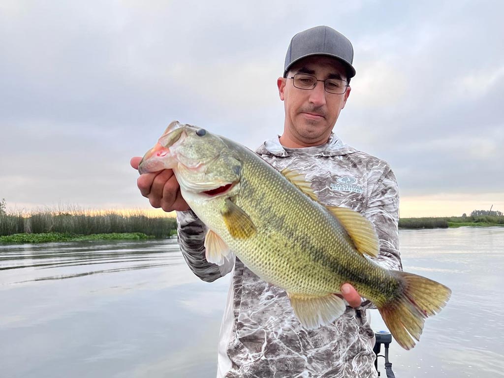 An angler wearing glasses and a hat holding a Largemouth Bass he caught fishing in the California Delta, with calm waters, overcast skies, and shoreline greenery in the background.