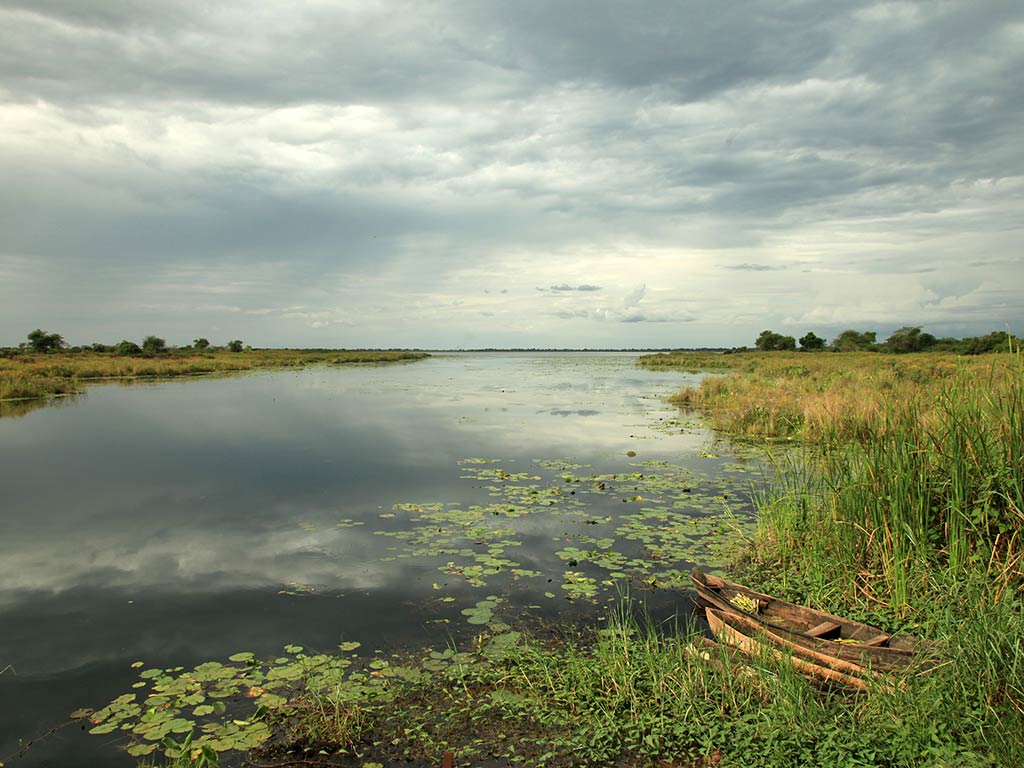 A view across a lake with lily pads on the water's surface on a cloudy day