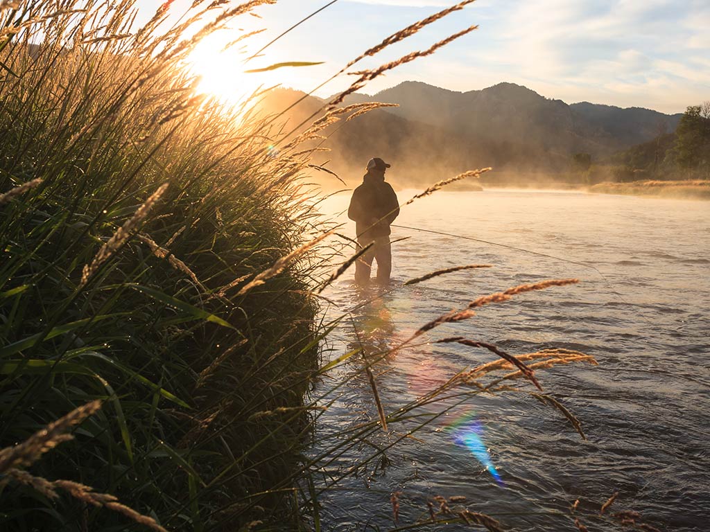 A view through the reeds towards a man wade fishing in the Snake River at dawn on a bright day