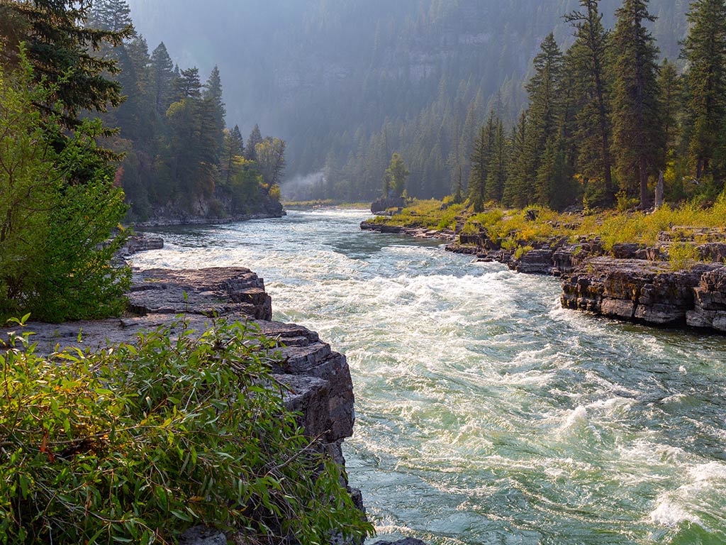 A view of some rapids in the Snake River near Jackson on a sunny day, with green trees lining the river in the distance