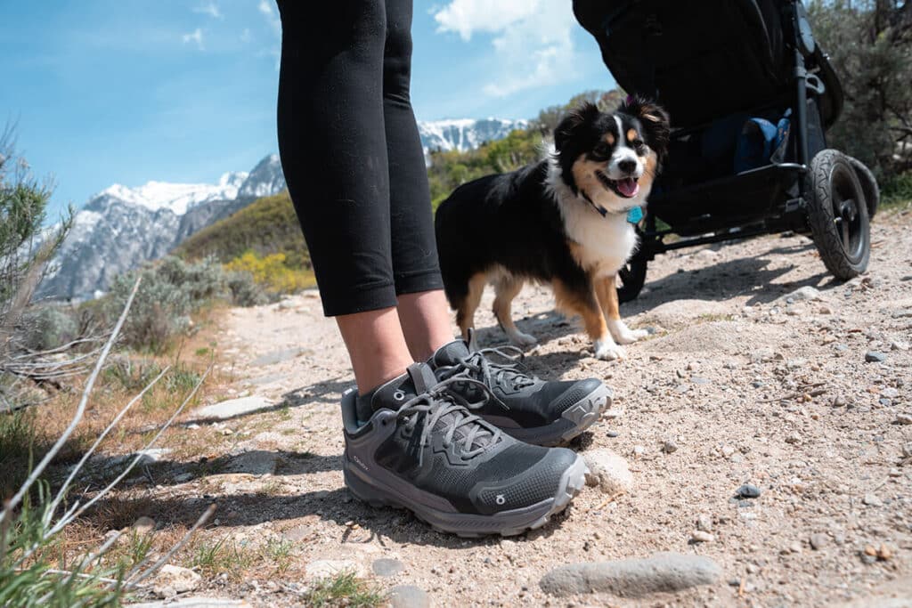 Closeup of the Oboz Katabatic light and fast hiking shoes on a dirt trail with a dog and mountains in the background