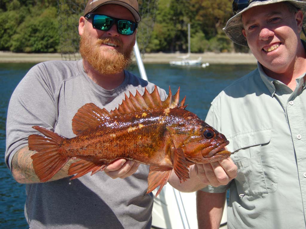 Two Washington anglers posing next to each other on a boat with the angler on the left holding a sizeable Rockfish they caught during the spring season.