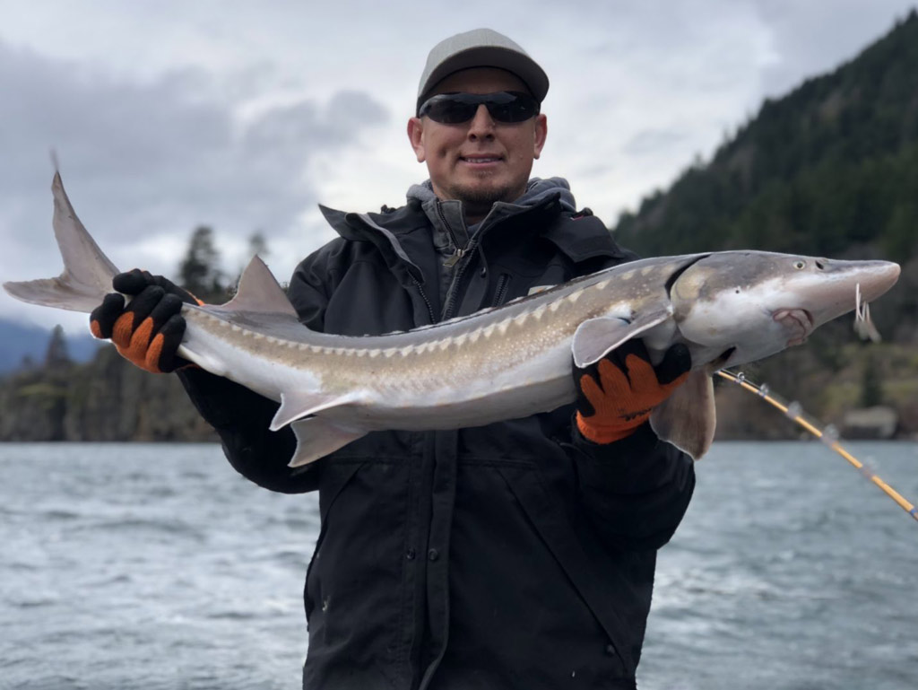 An angler in sunglasses, a hat, and winter jacket holding a Sturgeon he caught fishing on the Columbia River in Washington on a cloudy day.