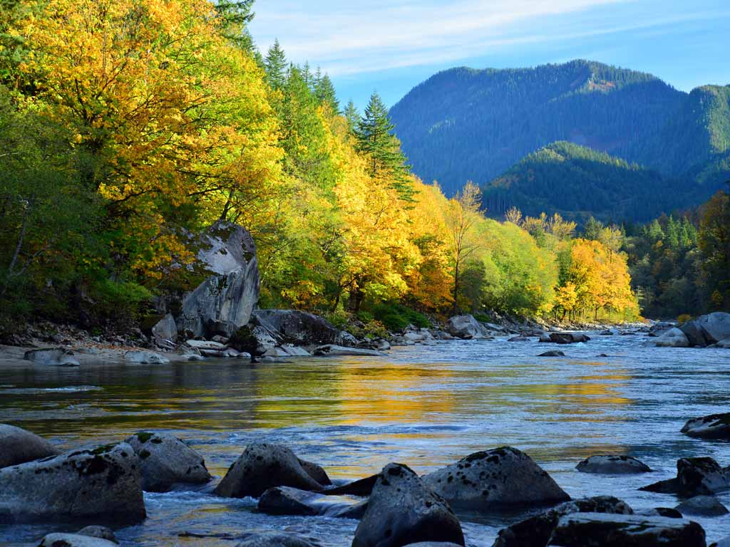 A scenic shot of the Skykomish River in Washington during the fall season, with calm waters and colorful trees.
