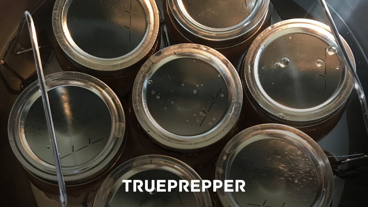 Best Canning Kit for Preppers Long-Term Food Storage