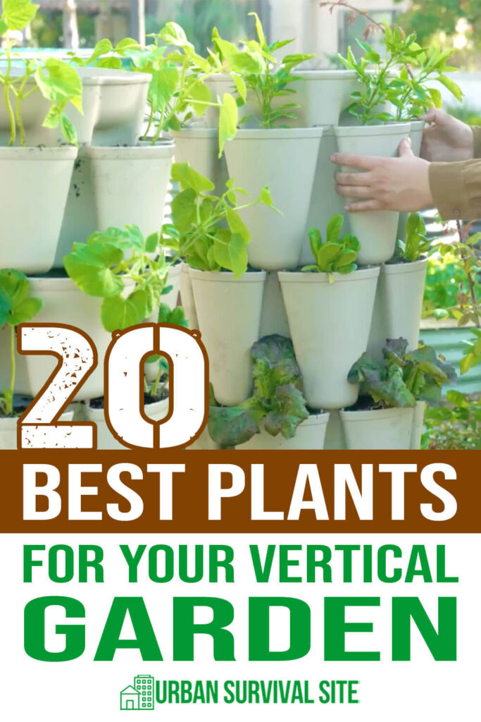 20 Best Plants For Your Vertical Garden