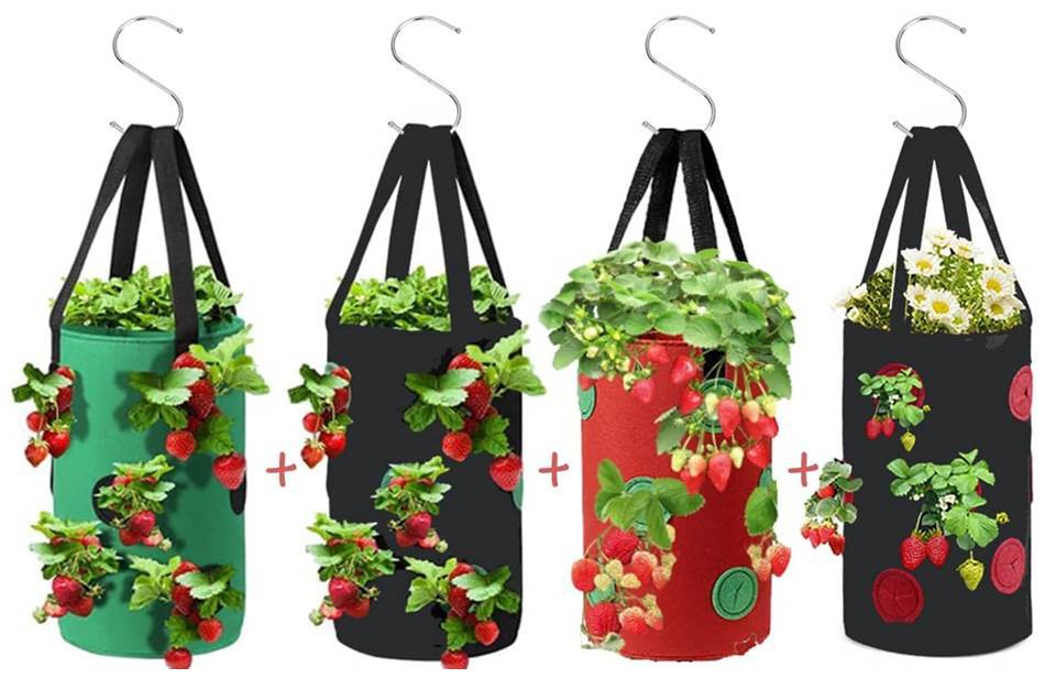 STRAWBERRY BAGS