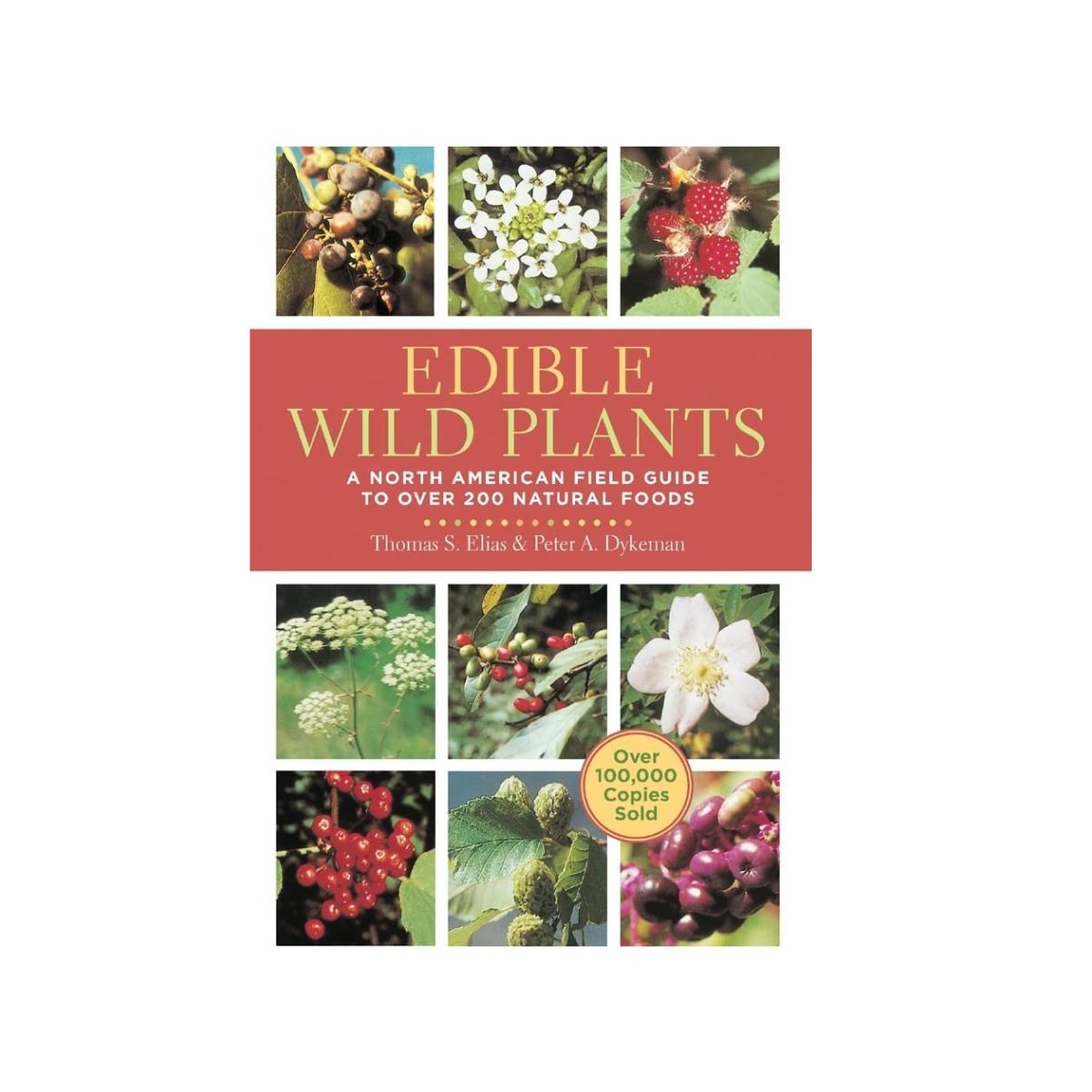 Edible Wild Plants a North American Field Guide