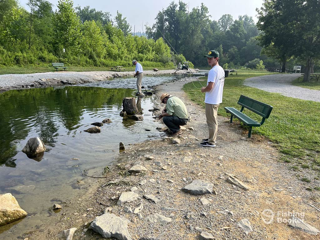 A group of anglers lined up on the shore of a quiet creek among green trees, casting into the water