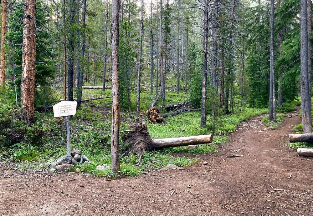 Cascade Creek Trail Indian Peaks Wilderness 