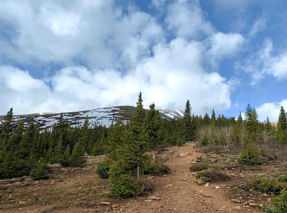 North Mount Elbert Trail