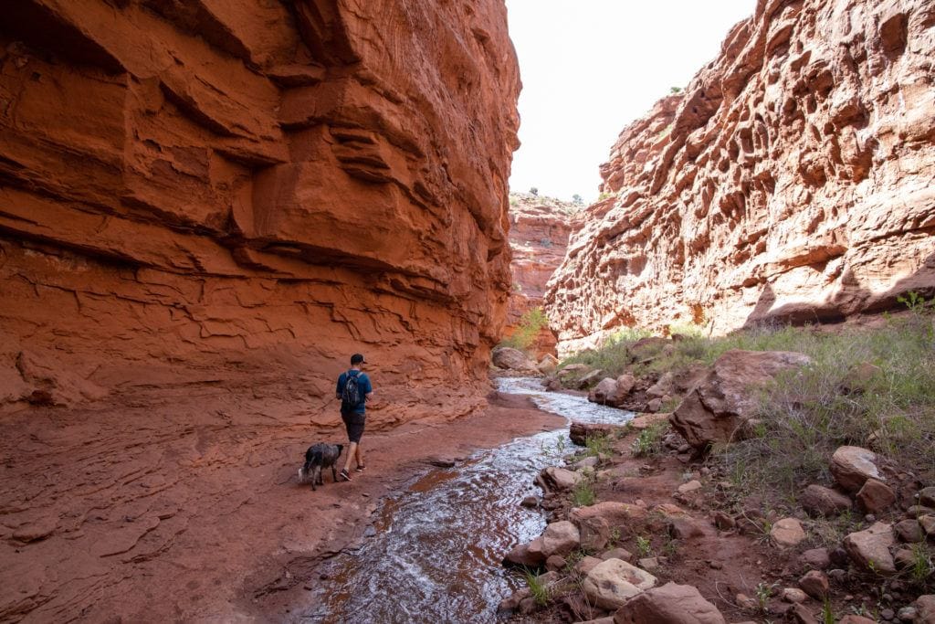 Person hiking on trail through red rock canyon in Moab with small stream running through it