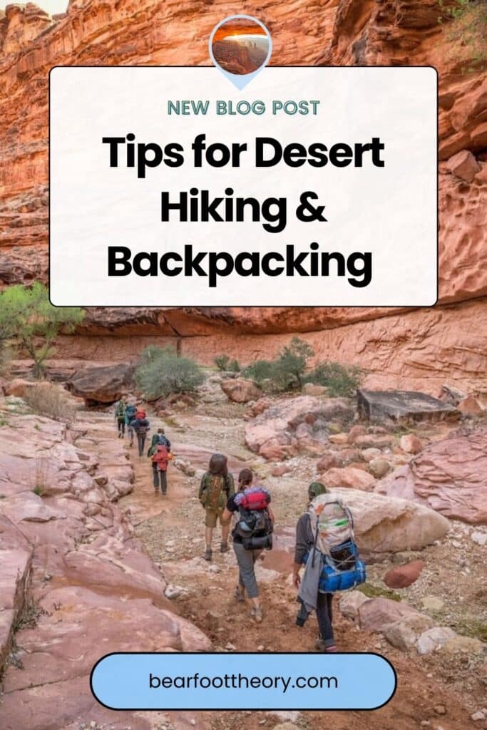 Pinnable image for tips for hiking in the desert with a group of hikers and red rocks in the desert in the background